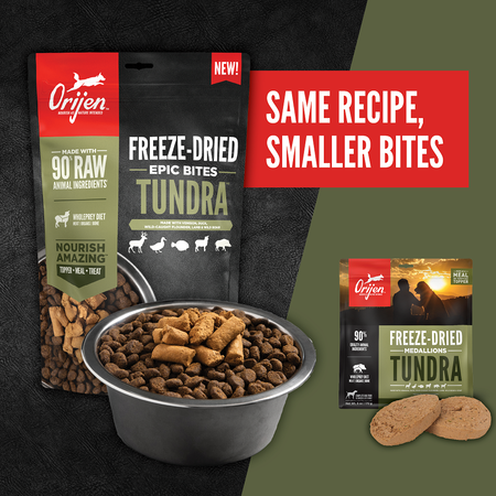 Orijen dehydrated dog food sales